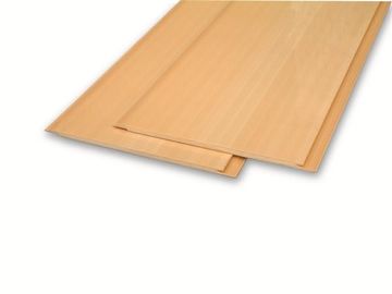 SGS WPC Composite Wall Paneling Mobile Home Wall Coving Panels
